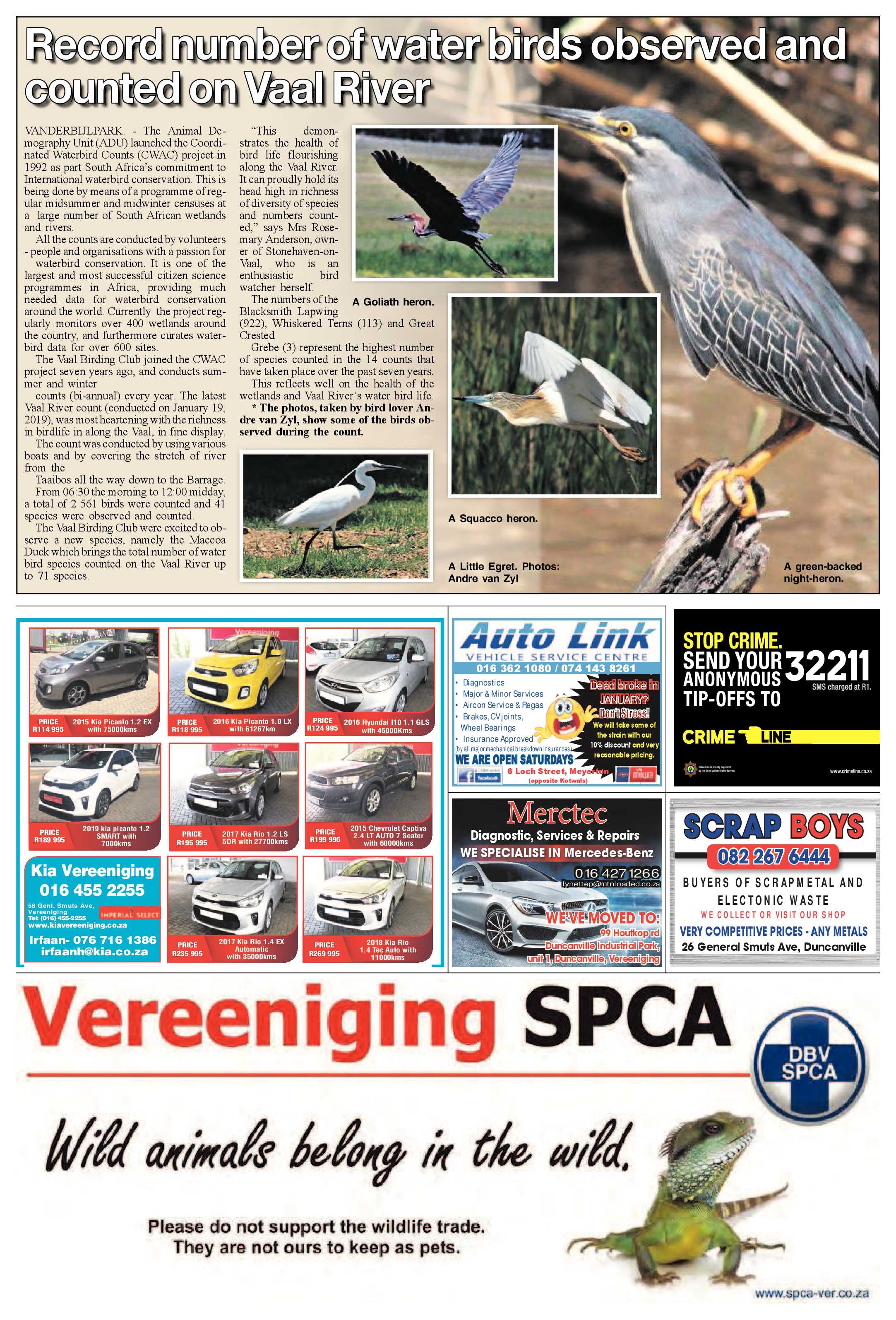 Midvaal Ster 5 – 11 Februarie 2019 page 24