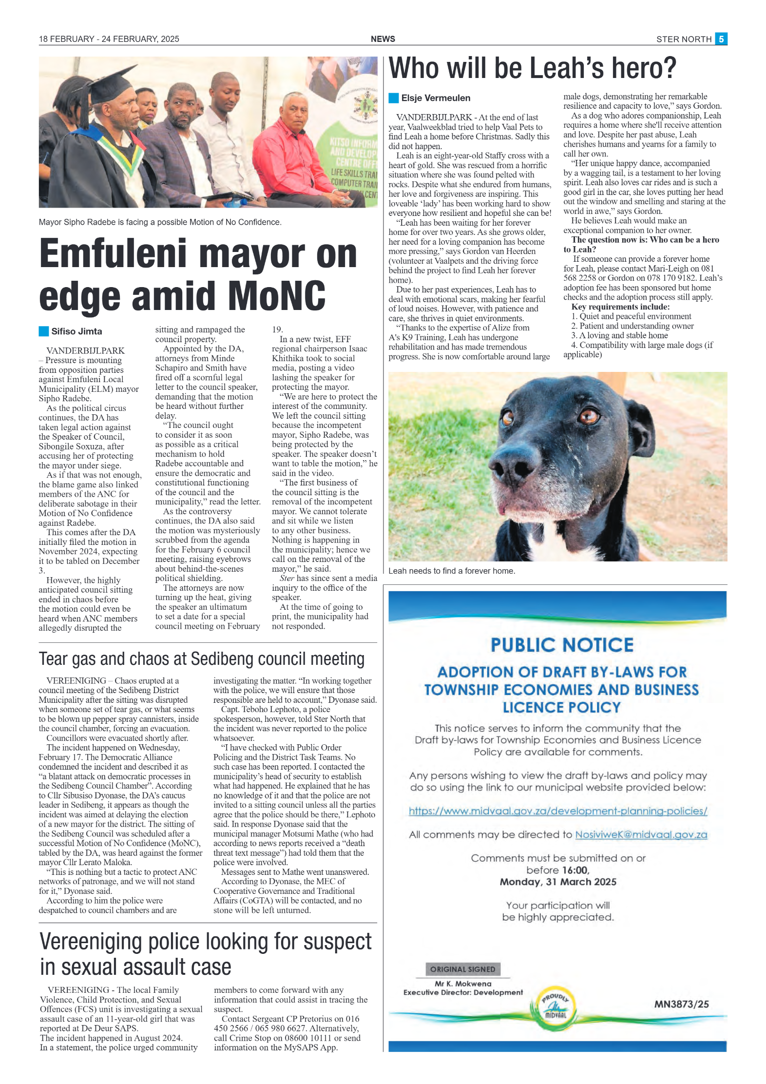 STER NORTH 18 FEBRUARY – 24 FEBRUARY, 2025 page 5