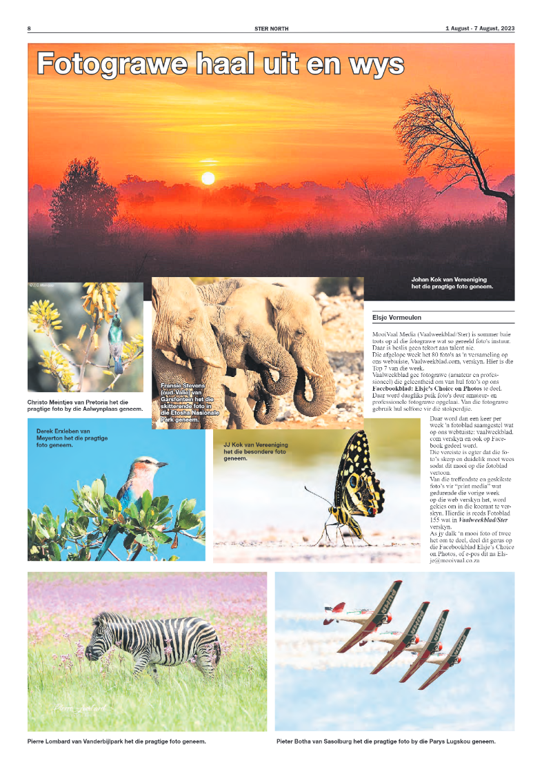STER NORTH 1 August – 7 August, 2023 page 8