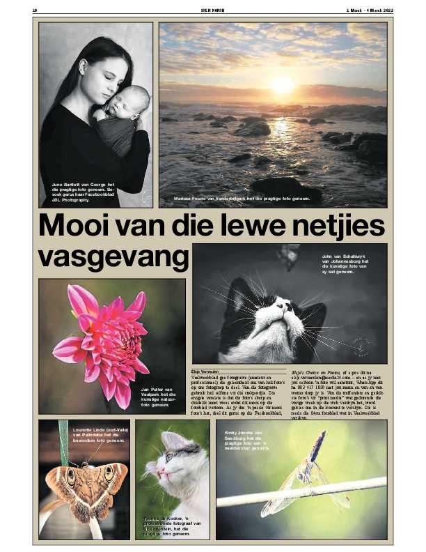 STER NORTH 1 March – 4 March 2022 page 10