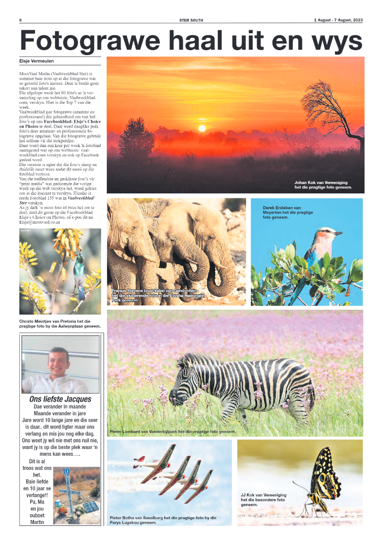 STER SOUTH 1 August – 7 August, 2023 page 6