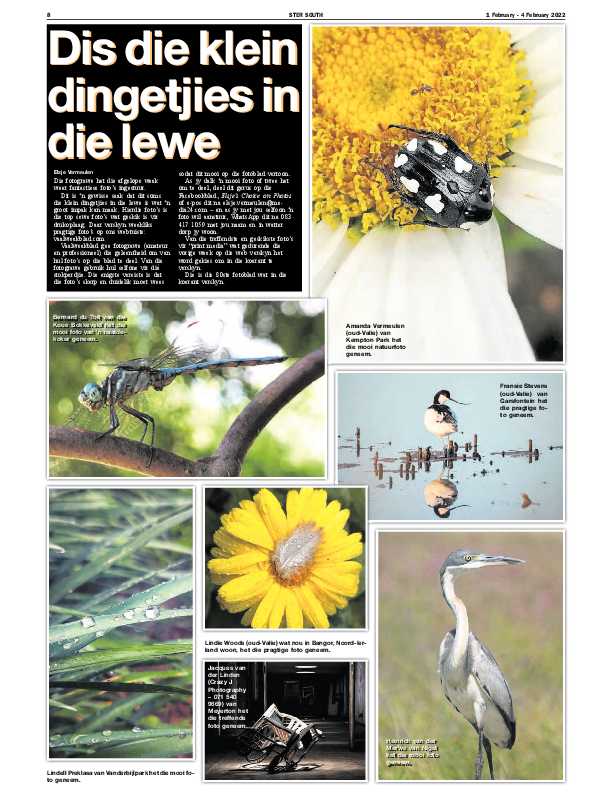 STER SOUTH 1 February – 4 February 2022 page 8