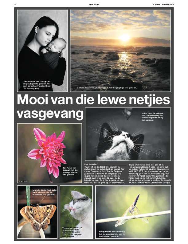STER SOUTH 1 March – 4 March 2022 page 15