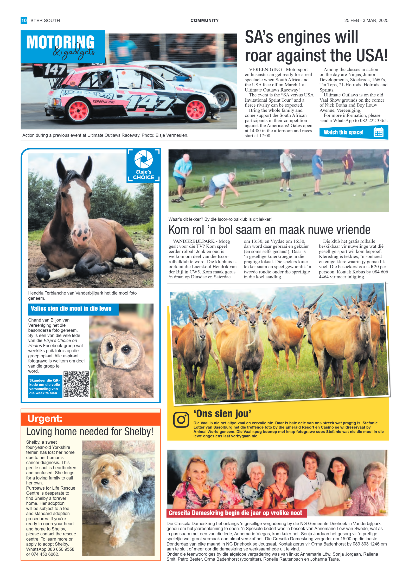 STER SOUTH 25 FEB – 3 MAR, 2025 page 10