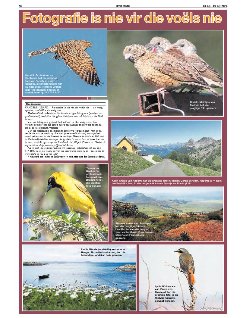 STER SOUTH 26 July – 29 July 2022 page 12