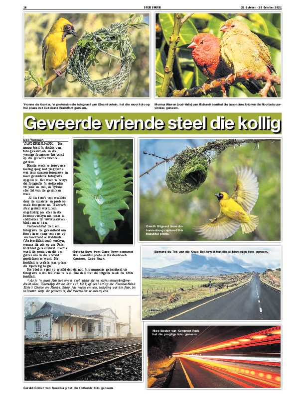 STER SOUTH 26 October – 29 October 2021 page 16
