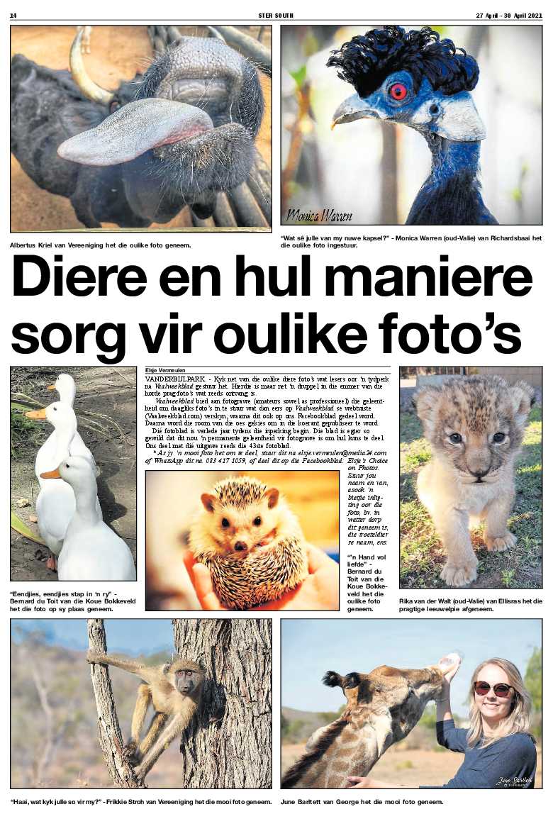 STER SOUTH 27 April – 30 April 2021 page 14
