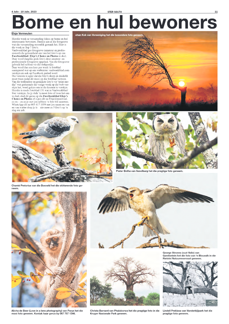 STER SOUTH 4 Julie – 10 Julie, 2023 page 11