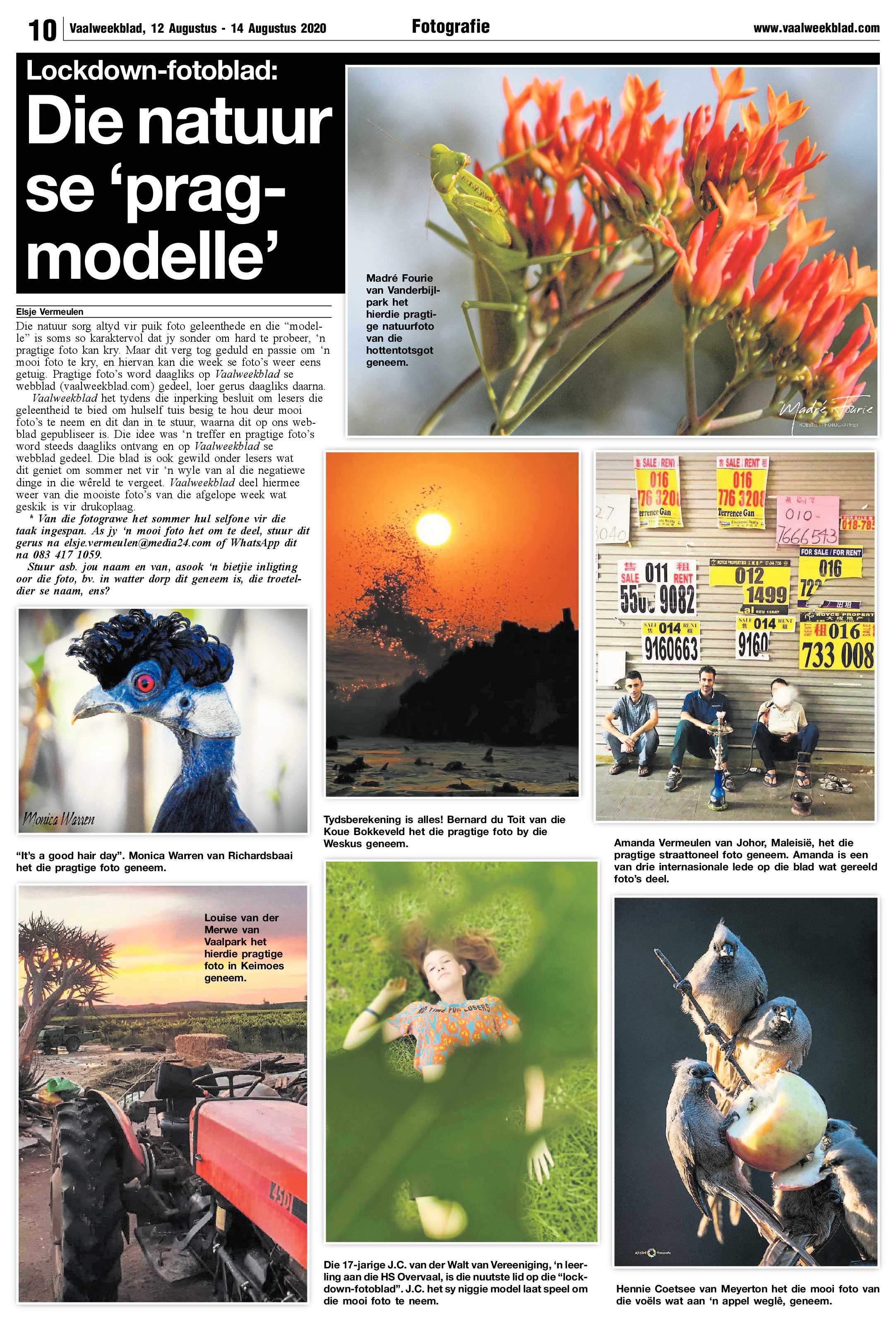 Vaalweekblad 12 Augustus – 14 Augustus 2020 page 10