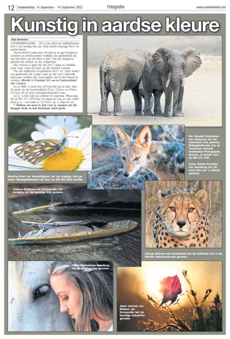 Vaalweekblad, 14 September – 16 September 2022 page 12