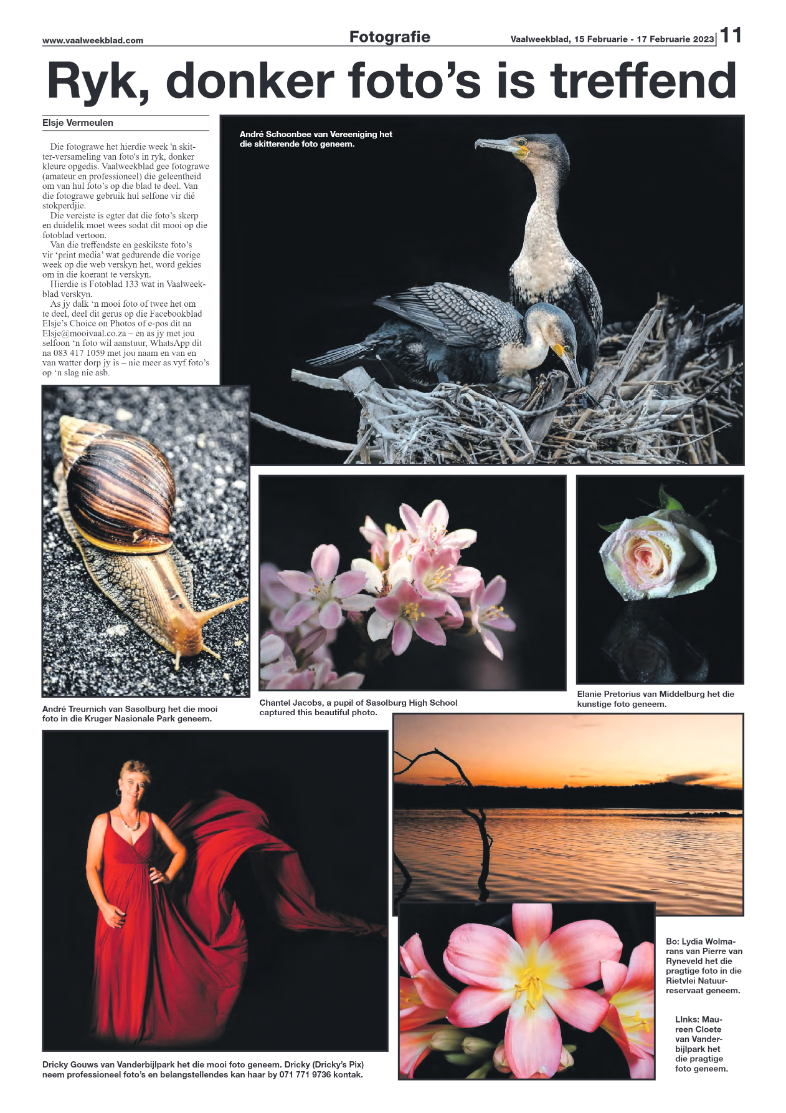 Vaalweekblad, 15 Februarie – 17 Februarie 2023 page 11