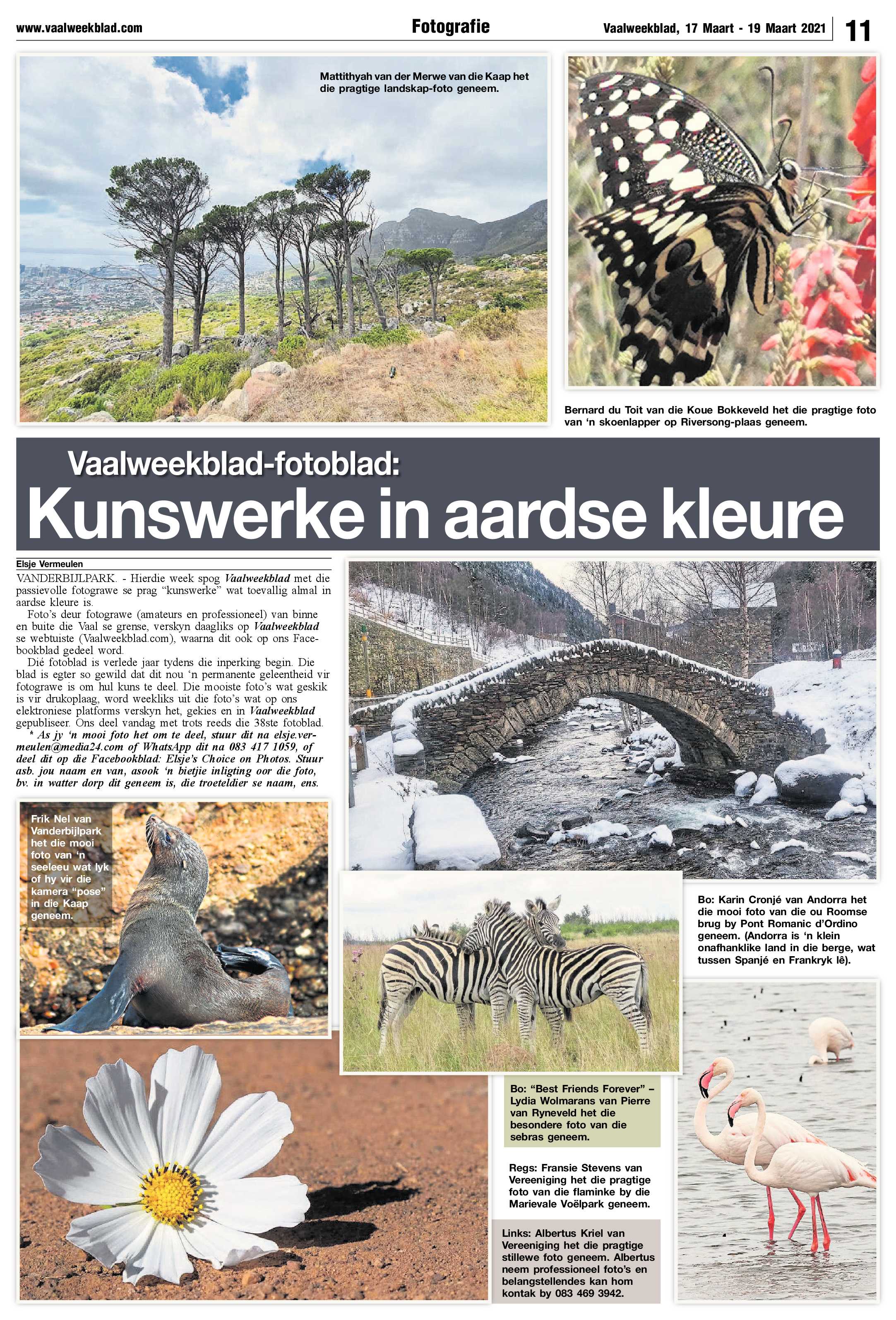 Vaalweekblad 17 Maart – 19 Maart 2021 page 11