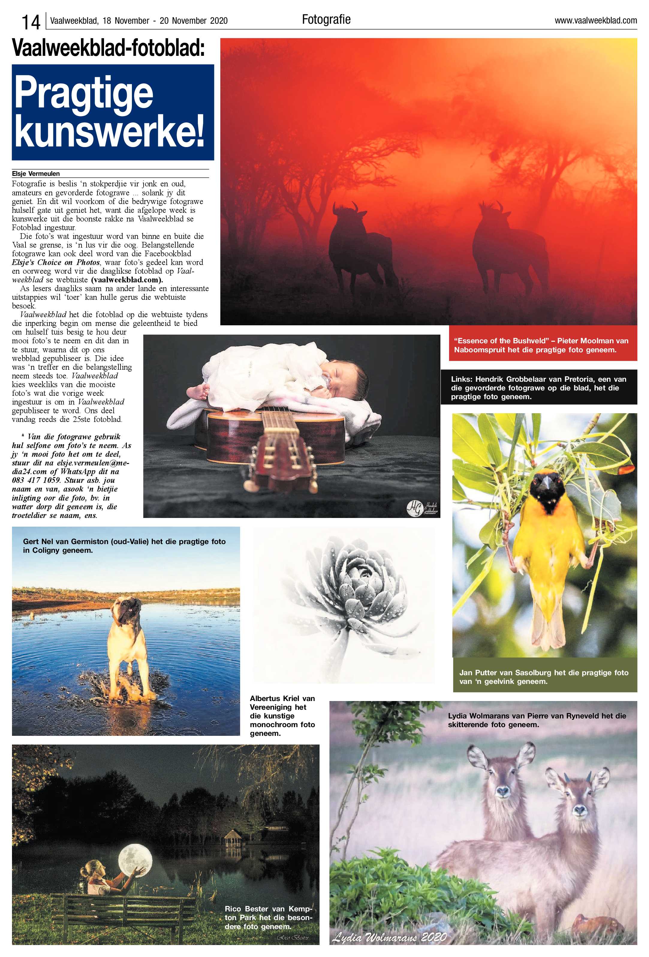 Vaalweekblad 18 November – 20 November 2020 page 14