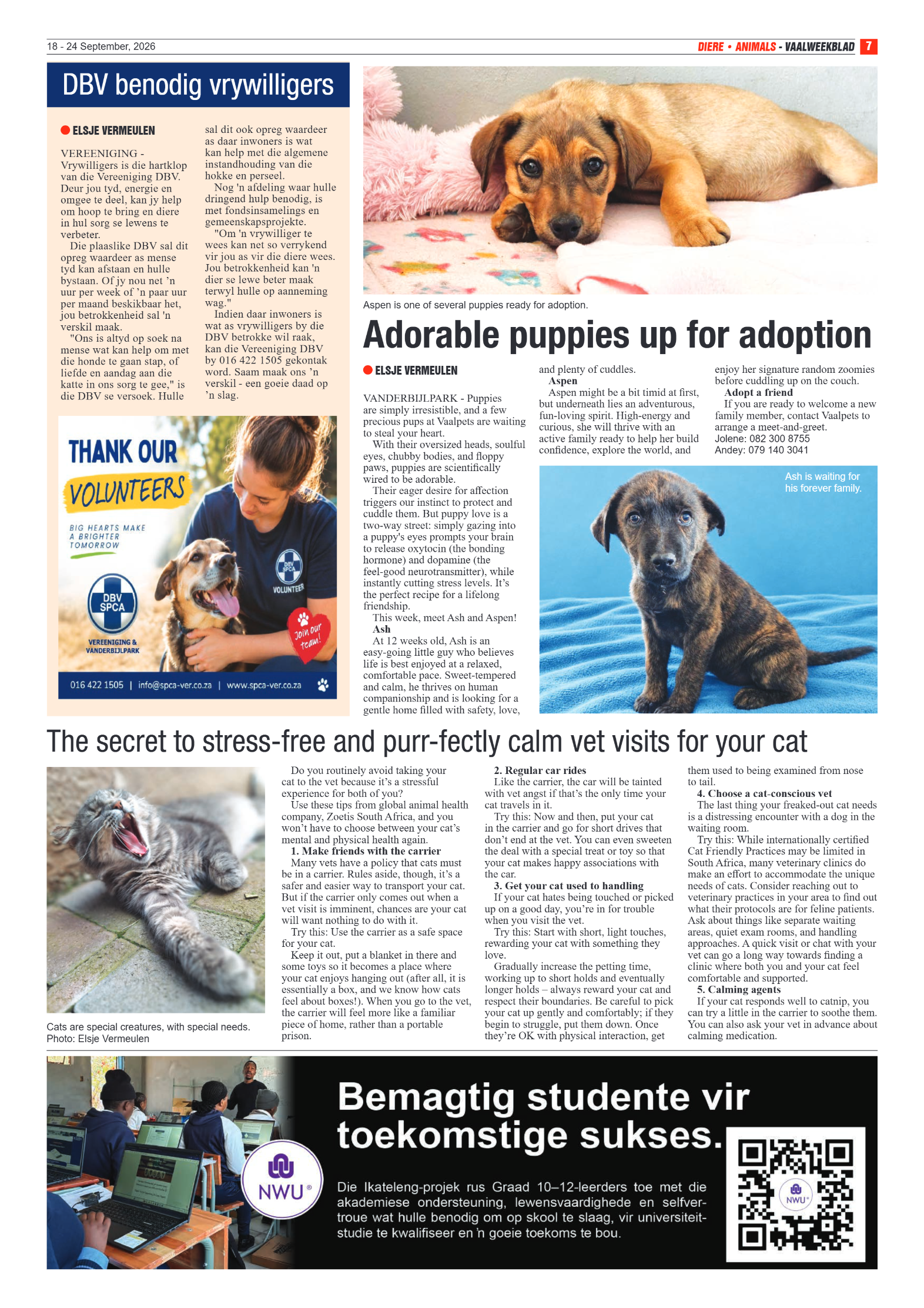 Vaalweekblad – 18 September 2026 page 7