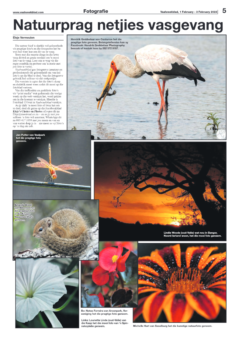 Vaalweekblad, 1 February – 3 February 2023 page 5
