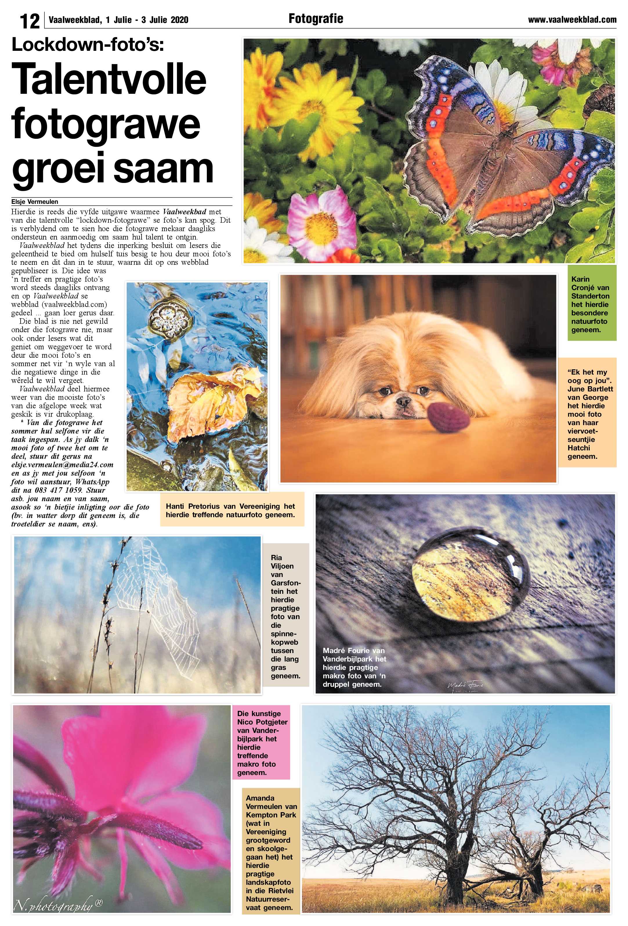 Vaalweekblad 1 Julie – 3 Julie 2020 page 12