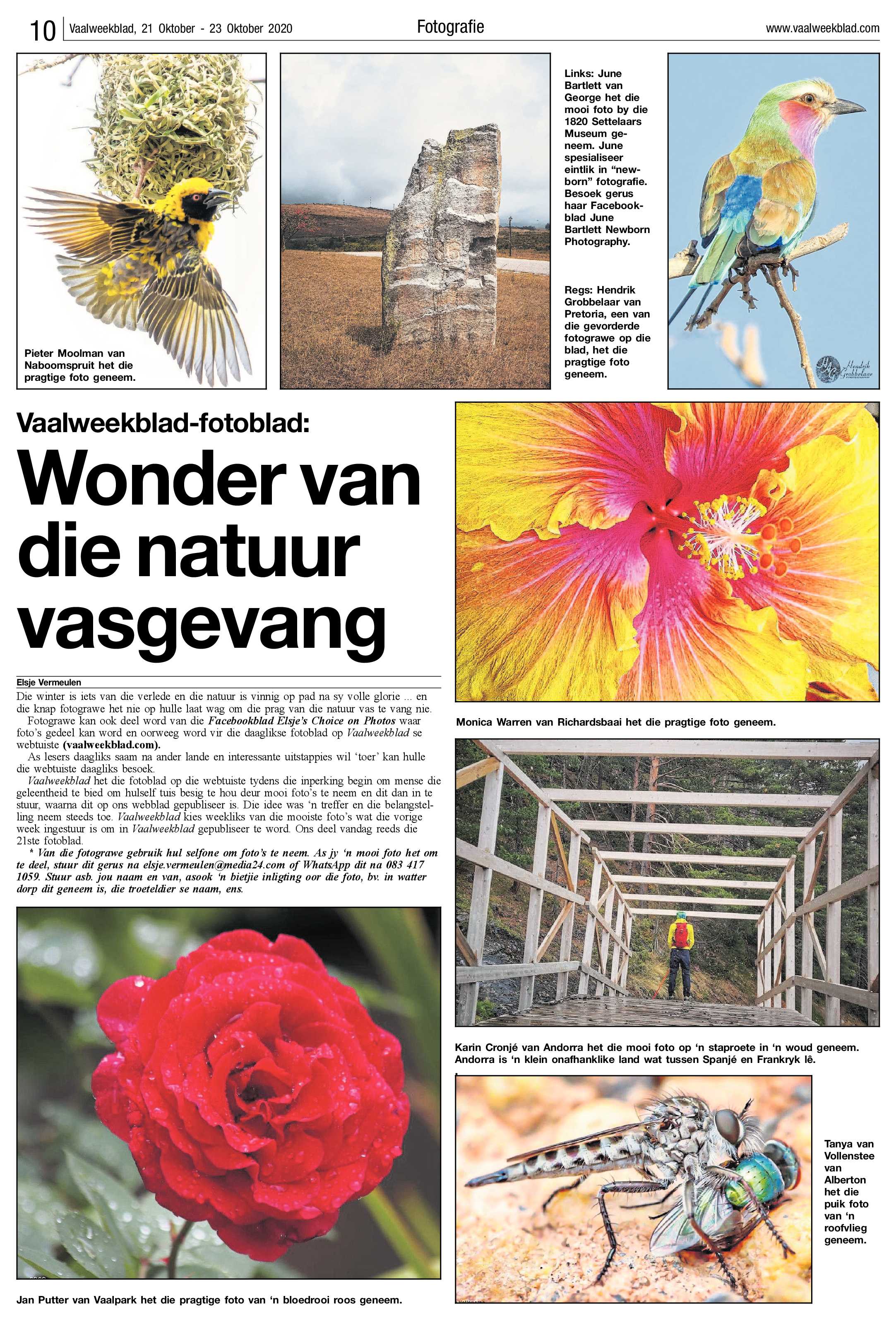 Vaalweekblad 21 Oktober – 23 Oktober 2020 page 10