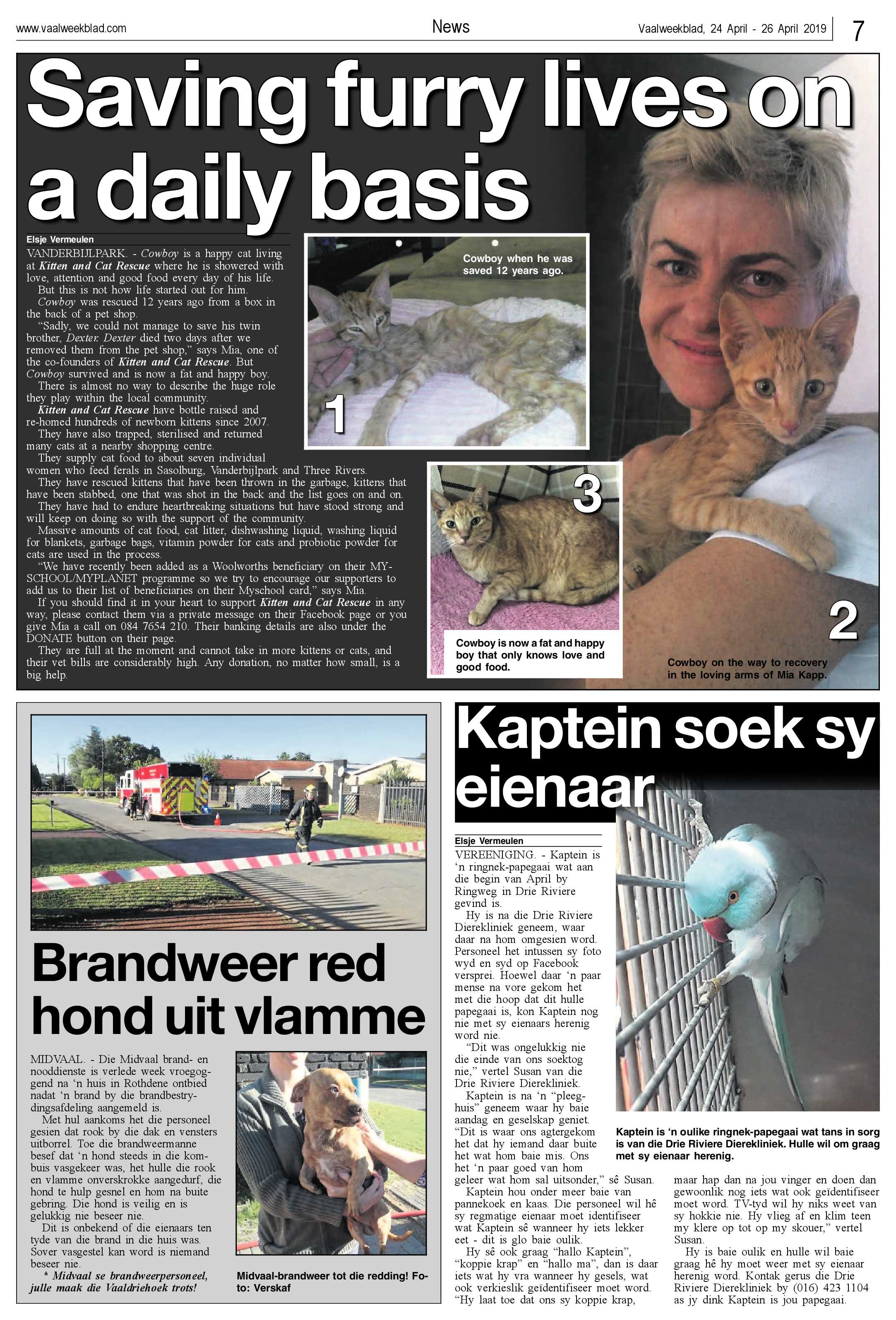 Vaalweekblad 24 – 26 April 2019 page 7