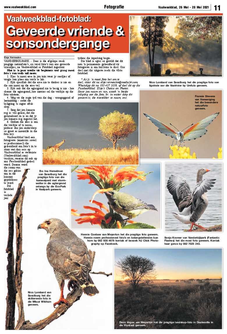 Vaalweekblad 26 Mei – 28 Mei 2021 page 11
