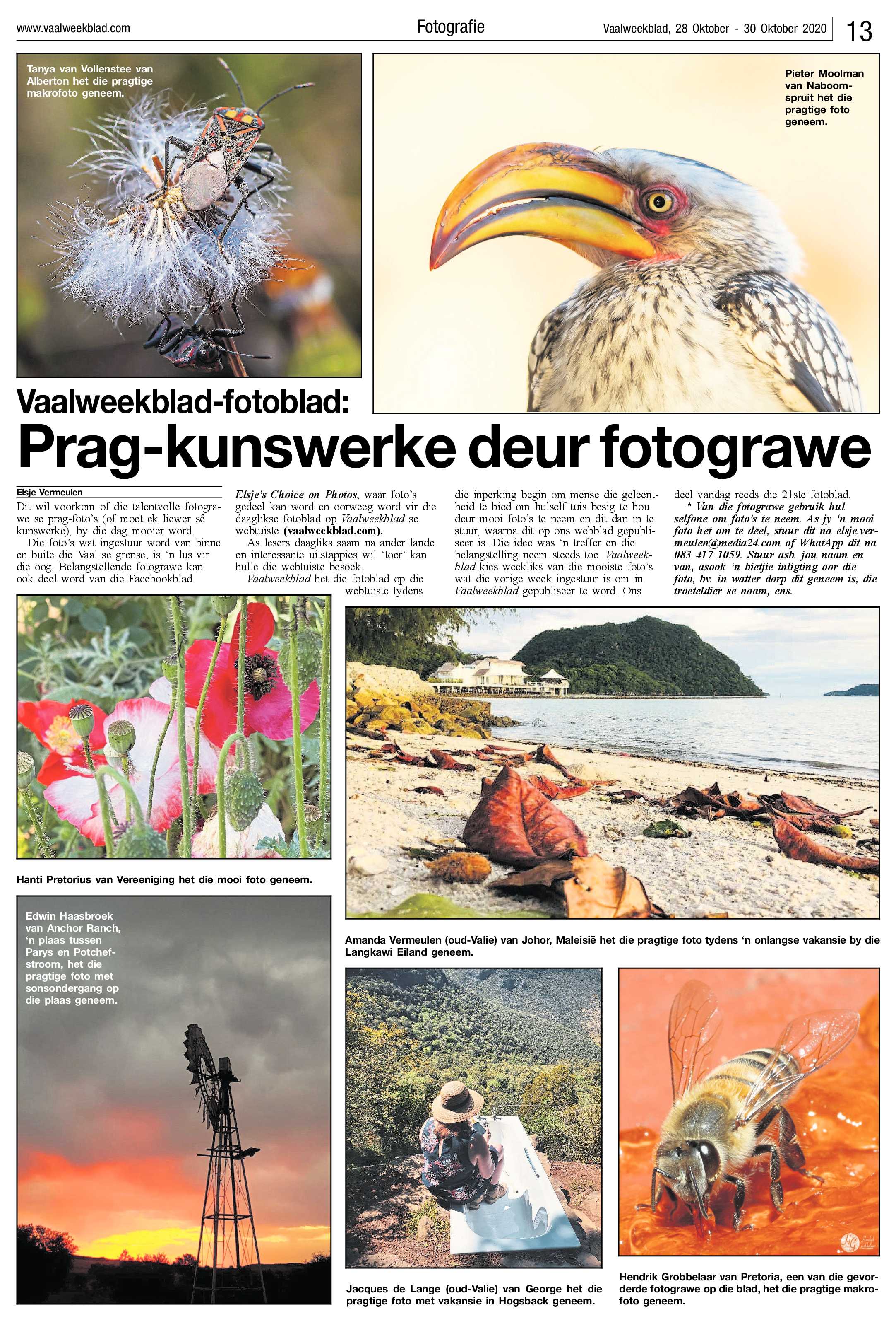 Vaalweekblad 28 Oktober – 30 Oktober 2020 page 13