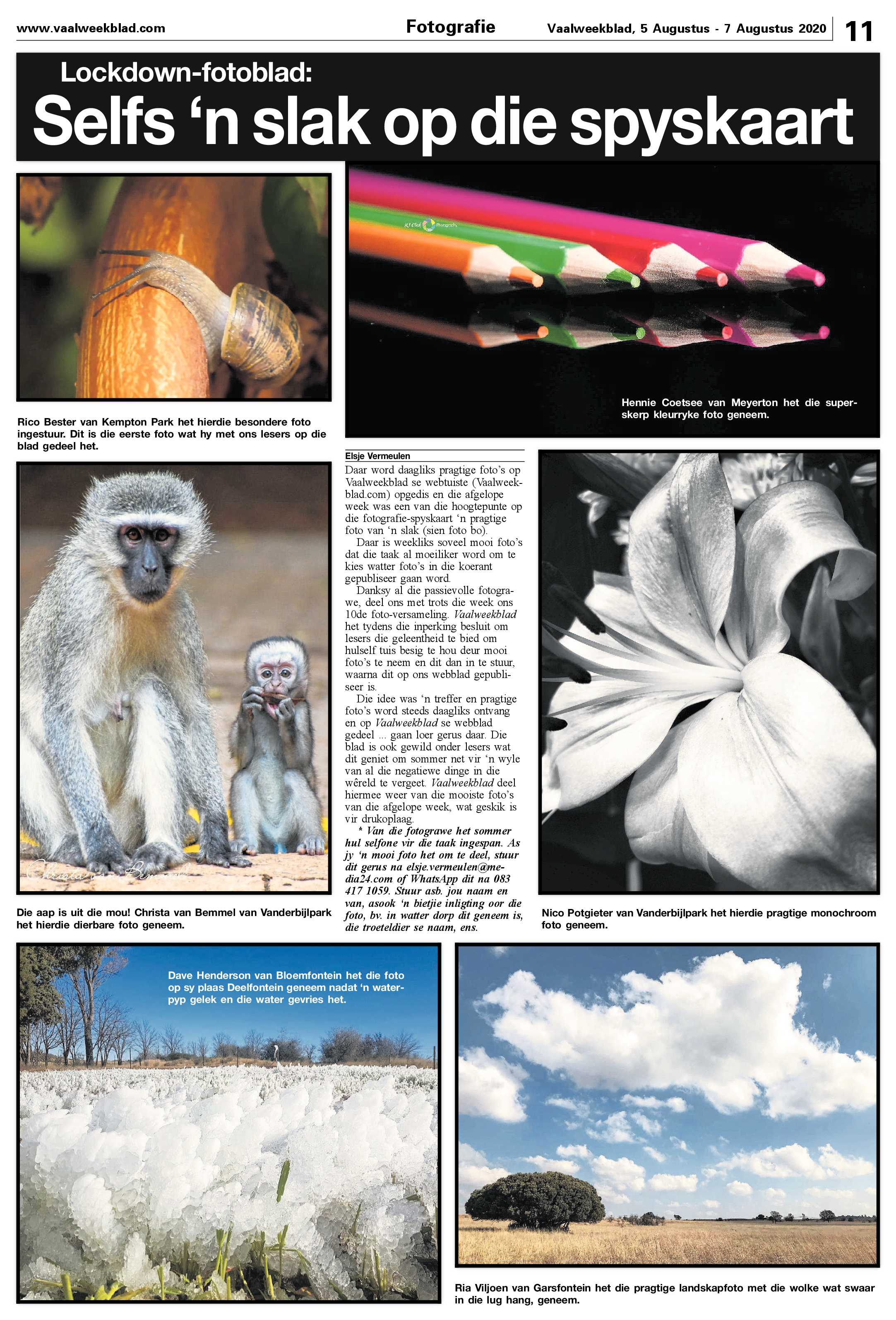 Vaalweekblad 5 Augustus – 7 Augustus 2020 page 11