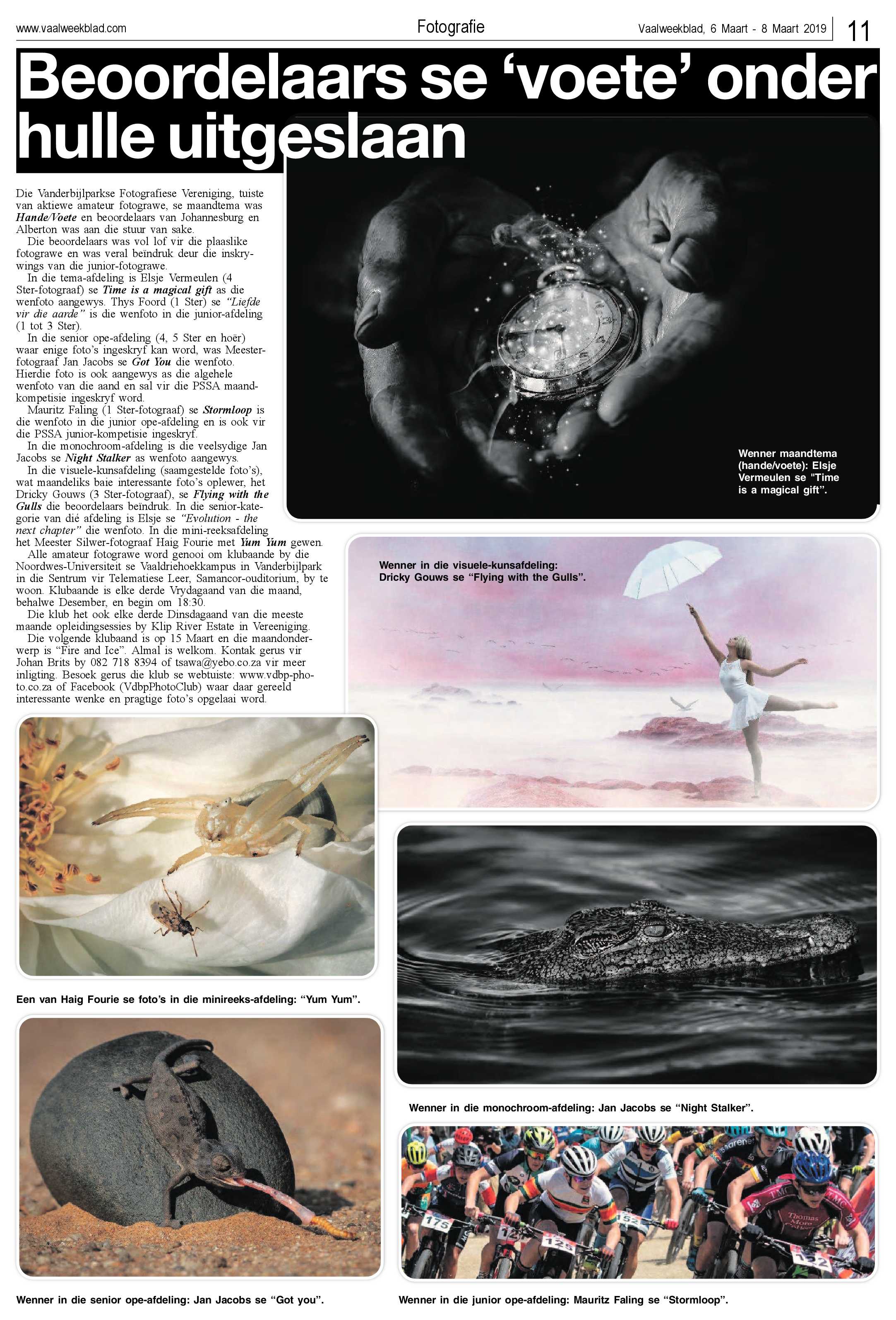 Vaalweekblad 6 – 8 Maart 2019 page 11