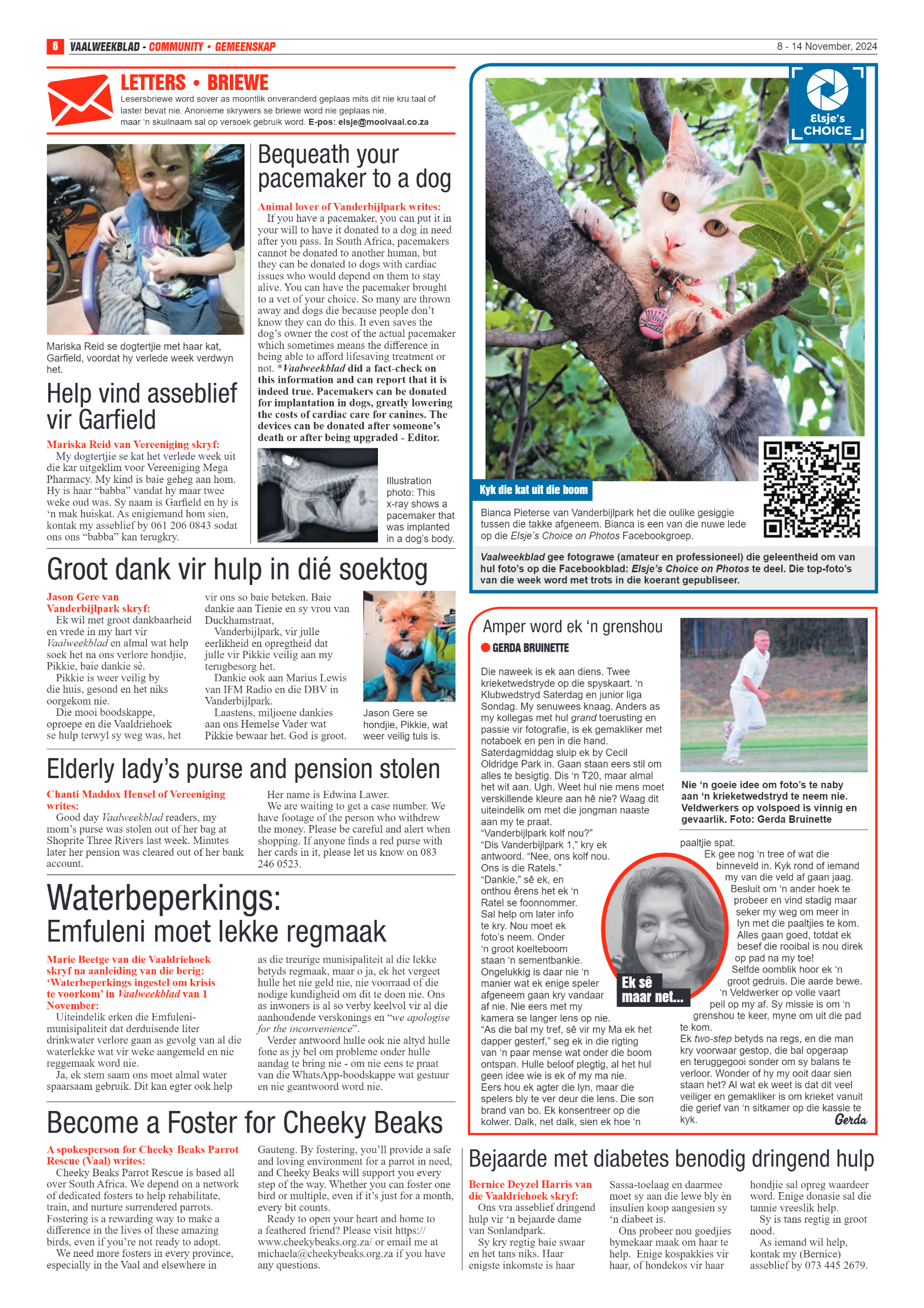 Vaalweekblad – 8 – 14 November, 2024 page 6