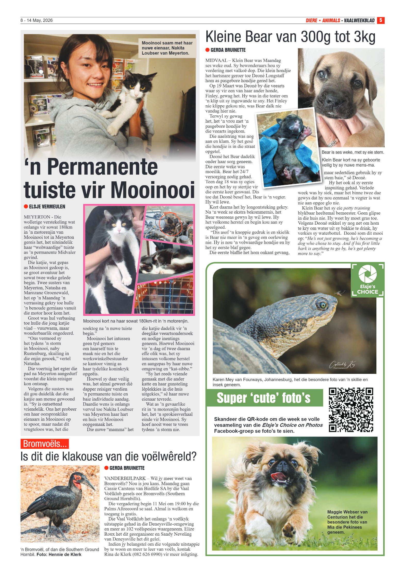 Vaalweekblad – 8 Mei 2026 page 5