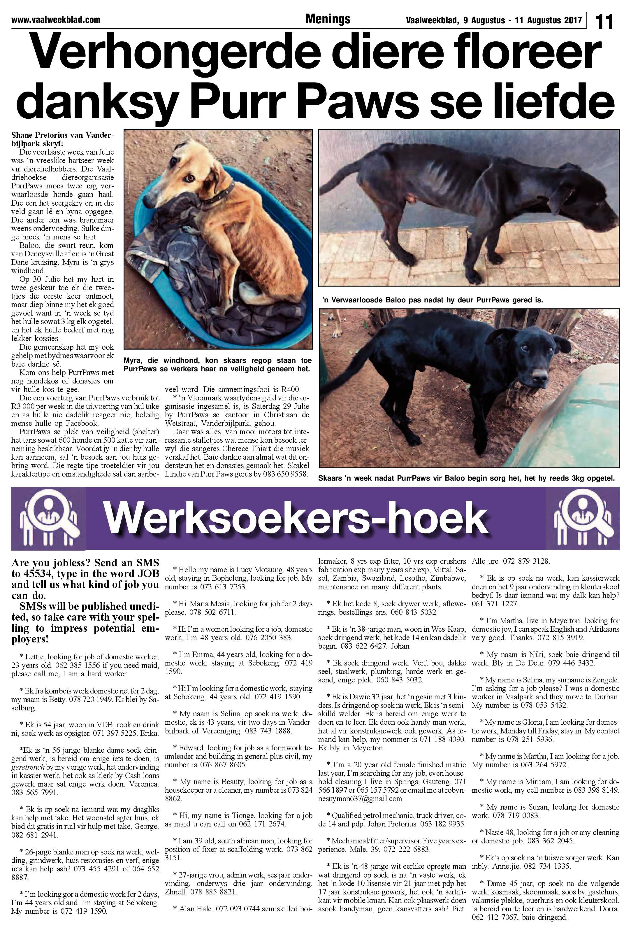 Vaalweekblad 9 – 11 Augustus 2017 page 11