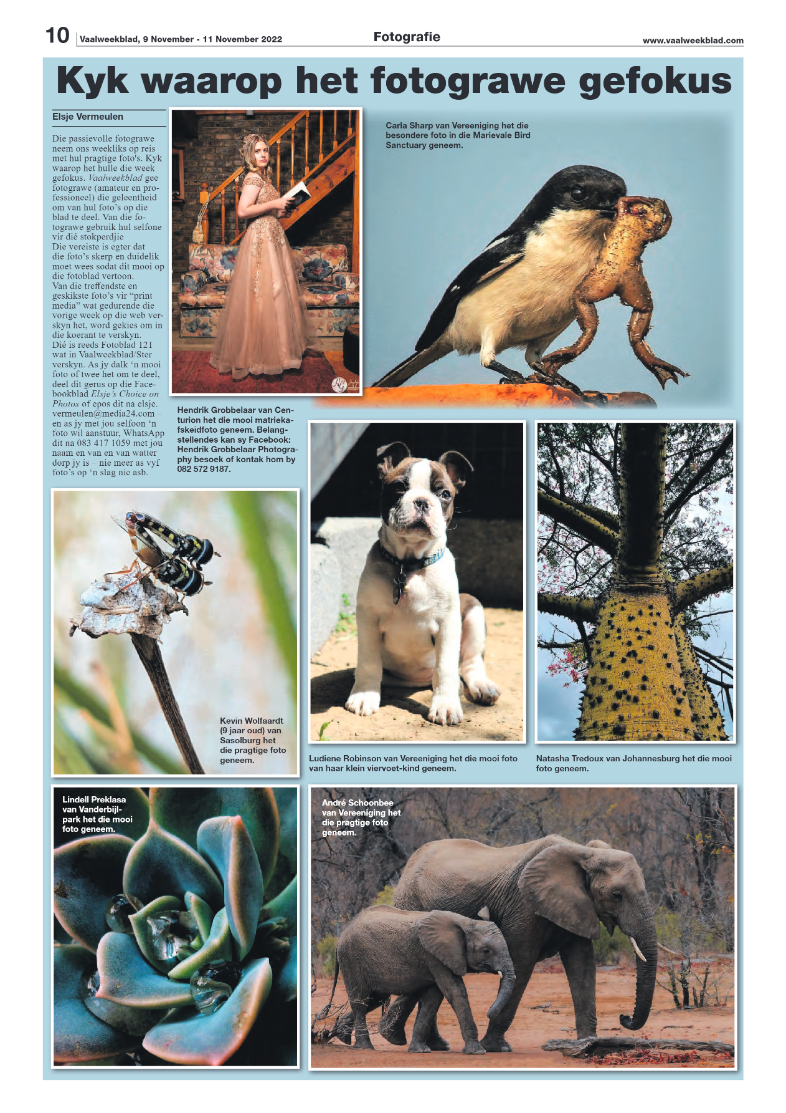 Vaalweekblad, 9 November – 11 November 2022 page 10