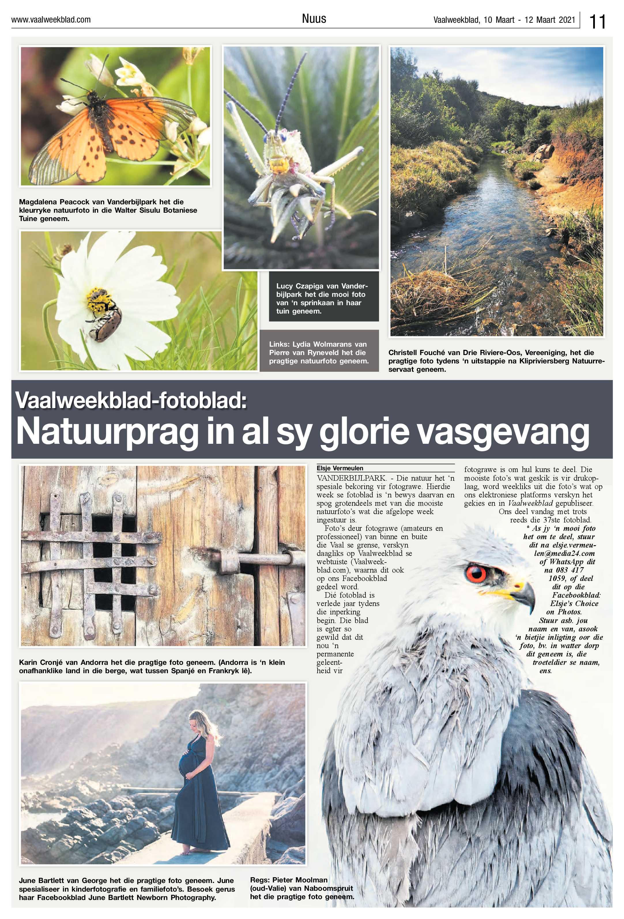 Vaalweekblad, 10 Maart – 12 Maart 2021 page 11